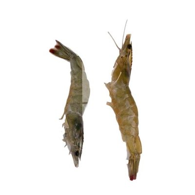 Download file gốc File gốc in tranh tổng hợp K24010 (in lụa) nghệ thuật