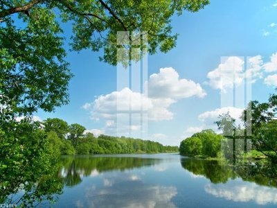 Tải file gốc in lụa File gốc in tranh tổng hợp K24069 siêu nét