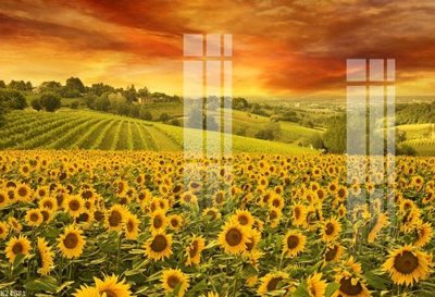 File gốc File gốc in tranh tổng hợp K24071 (thiết kế) độc quyền