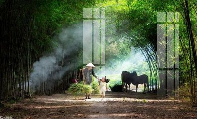 File in ấn chuyên nghiệp File gốc in tranh tổng hợp K24080 (file gốc)