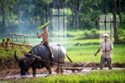 File gốc File gốc in tranh tổng hợp K24090 (chuẩn màu) cho in offset