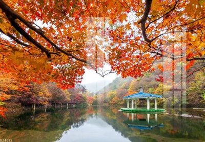 File tranh quảng cáo File gốc in tranh tổng hợp K24093 (file gốc) chuyên nghiệp