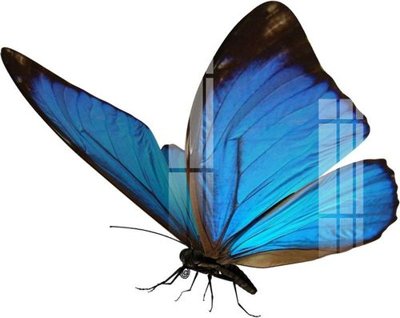 Tải về file gốc File gốc in tranh tổng hợp K24158 (dùng cho in quảng cáo)