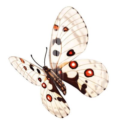 Tải file tranh gốc File gốc in tranh tổng hợp K24159 chất lượng cao