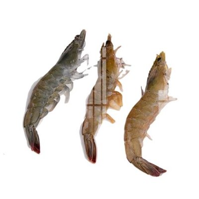 File gốc in tráng gương File gốc in tranh tổng hợp K24225 chi tiết