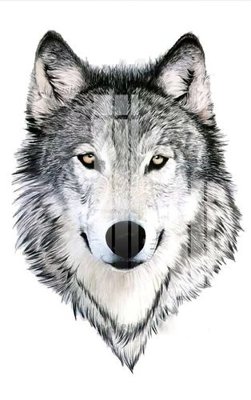 File in trần File gốc in tranh tổng hợp K24255 (file gốc) chủ đề vũ trụ