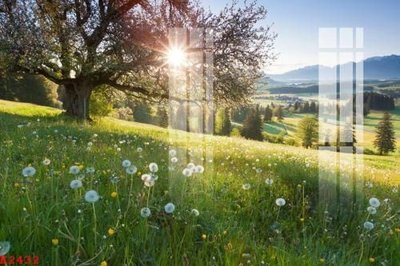 Tệp tin gốc File gốc in tranh tổng hợp K2432 (dùng cho in ấn) chuyên nghiệp