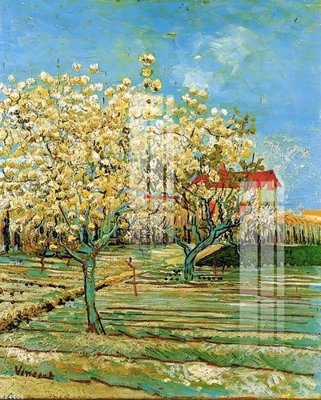 File in trần File gốc in tranh tổng hợp K24486 (file gốc) chủ đề vũ trụ