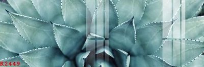 File in trần File gốc in tranh tổng hợp K2449 (bản gốc) mây trời