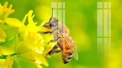 File gốc File gốc in tranh tổng hợp K24504 (in 3D) cho trang trí