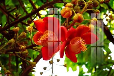 File gốc File gốc in tranh tổng hợp K24548 (cho in 3D) độc đáo