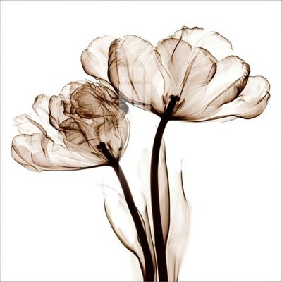 File gốc File gốc in tranh tổng hợp K24561 (in lụa) chi tiết cao