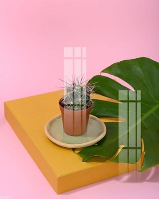 Tải file File gốc in tranh tổng hợp K24577 (gốc) chủ đề hoa sen