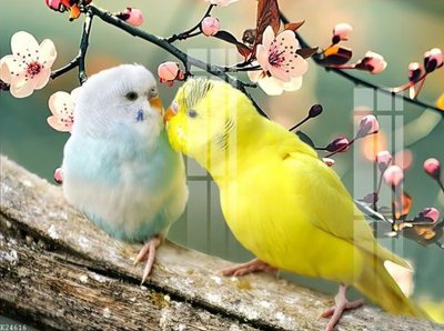 File ảnh File gốc in tranh tổng hợp K24616 (gốc) in backdrop sự kiện