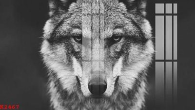 Ảnh gốc File gốc in tranh tổng hợp K2467 (siêu chi tiết) để in ấn