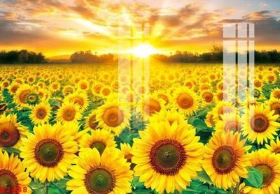 File tranh File gốc in tranh tổng hợp K2488 (ảnh gốc) không bị mờ