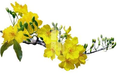 Ảnh gốc File gốc in tranh tổng hợp K24948 (độ nét cao) in mica