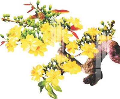 File in mica File gốc in tranh tổng hợp K24949 (bản gốc) siêu trong