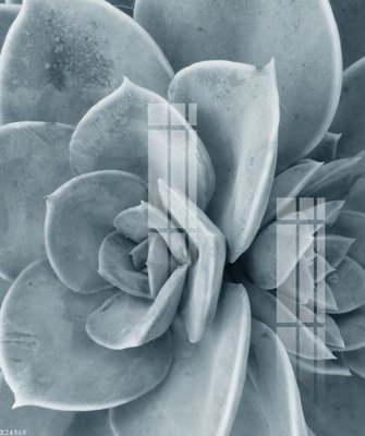 File tranh File gốc in tranh tổng hợp K24968 (file gốc) chuẩn màu in