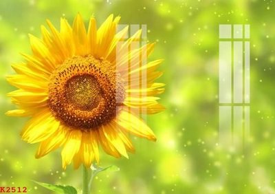 File PSD File gốc in tranh tổng hợp K2512 (nguyên gốc) chất lượng cao