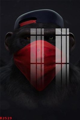 File tranh File gốc in tranh tổng hợp K2529 (bản gốc) in lụa 3D