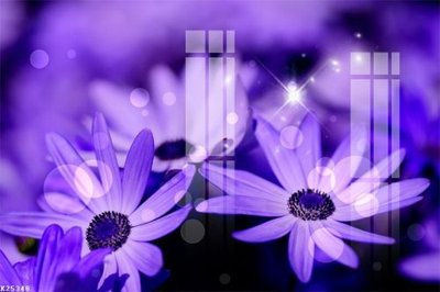 Tải file gốc File gốc in tranh tổng hợp K25348 (bản PSD) gốc