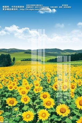 Tải file gốc File gốc in tranh tổng hợp K25391 (bản PSD) chỉnh sửa được