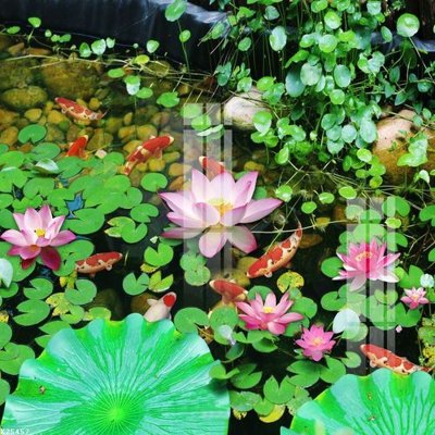 File in ấn chuyên nghiệp File gốc in tranh tổng hợp K25457 (file gốc)