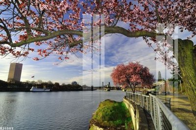 File tranh in trần 3D File gốc in tranh tổng hợp K25589 (ảnh gốc)