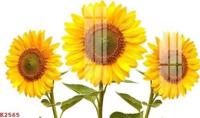 Hình ảnh file gốc File gốc in tranh tổng hợp K2565 cho in UV