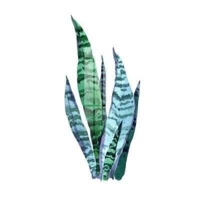 File in trần File gốc in tranh tổng hợp K25669 (bản gốc) 5D