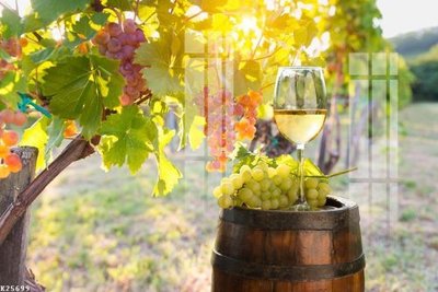 File tranh File gốc in tranh tổng hợp K25699 (gốc) chủ đề con người