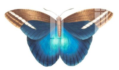 File gốc in mica File gốc in tranh tổng hợp K25861 chất lượng