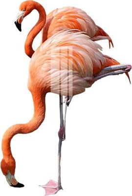 File gốc File gốc in tranh tổng hợp K25988 (cho in ấn) độc quyền