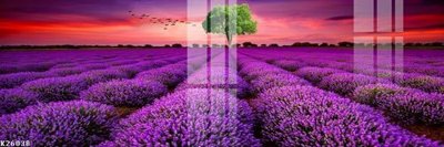 File in ấn File gốc in tranh tổng hợp K26038 (bản gốc) chất lượng cao