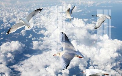 File tranh File gốc in tranh tổng hợp K26044 (ảnh gốc) in trần xuyên sáng