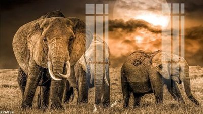 File tranh File gốc in tranh tổng hợp K26054 (ảnh gốc) chi tiết rõ ràng