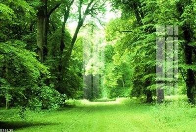 Tải file tranh gốc File gốc in tranh tổng hợp K26135 chất lượng cao