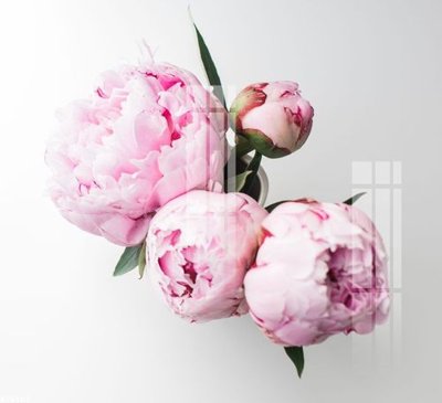 Ảnh mô tả file gốc in mica File gốc in tranh tổng hợp K26205