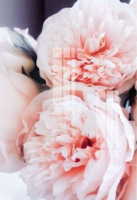 File tranh File gốc in tranh tổng hợp K26233 (ảnh gốc) chi tiết rõ ràng