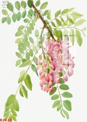 File gốc File gốc in tranh tổng hợp K2629 (PNG) trong suốt (transparent)