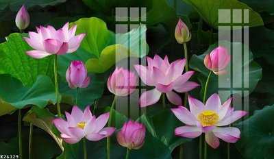 File tranh File gốc in tranh tổng hợp K26329 (bản gốc) in lụa dán tường