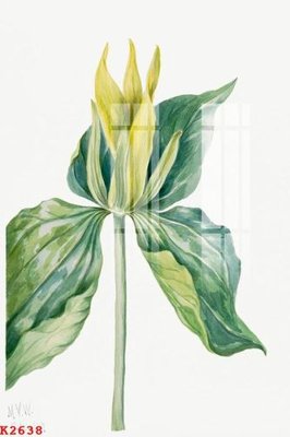 Tải về hình ảnh gốc File gốc in tranh tổng hợp K2638 sắc nét