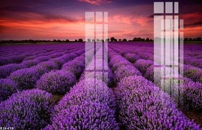 File tranh trang trí File gốc in tranh tổng hợp K26478 (file gốc)