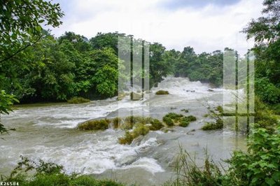 File tranh File gốc in tranh tổng hợp K26584 (gốc) chủ đề trừu tượng