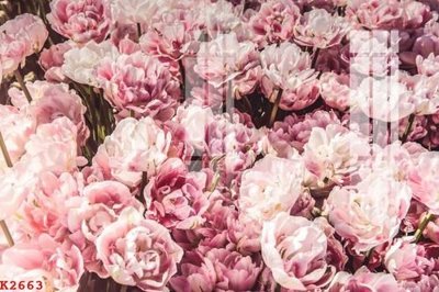 File PSD File gốc in tranh tổng hợp K2663 (chất lượng in ấn)