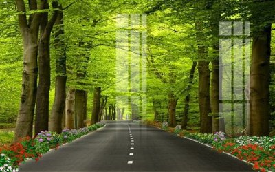 File in trần File gốc in tranh tổng hợp K26648 (file gốc) hoa văn 3D