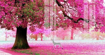 Chi tiết file gốc File gốc in tranh tổng hợp K26678 (cho in tráng gương)