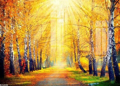 File gốc File gốc in tranh tổng hợp K26886 (cho in UV) siêu nét