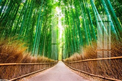 File in lụa File gốc in tranh tổng hợp K26896 (tân cổ điển) File gốc in tranh tổng hợp K26896